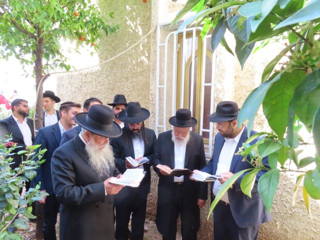 הגר"ש מחפוד בברכת האילנות. מ' מיכאלי