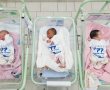 כמה תינוקות נולדו באשדוד במהלך השנה האחרונה? 