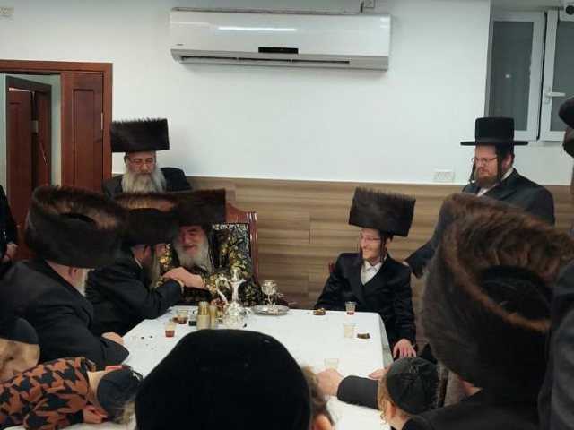 צילום: לשכת טסלר