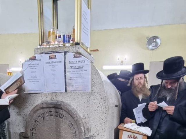 צילום: באדיבות המצלם