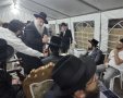 הרב מאיר אבוחצירא מנחם את האדמו"ר ממזיבוז