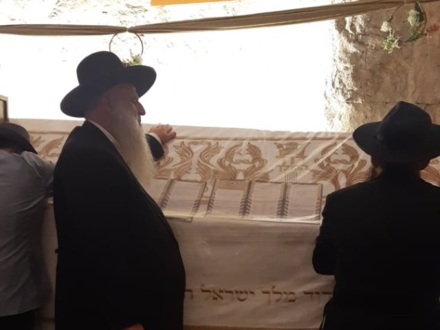 צילום: א. מיכאלי