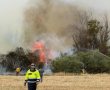 ישראל בוערת: האם מדובר בהצתות זדוניות?