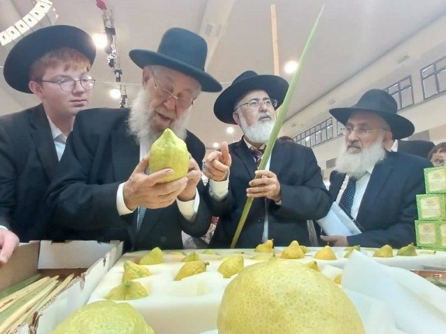 סוכות הוראה המועהד. א' מיכאלי