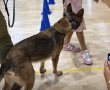 מפגש יוצא דופן בחולון: לוחמי יחידת עוקץ וכלבי היחידה ריגשו את ילדי החינוך המיוחד