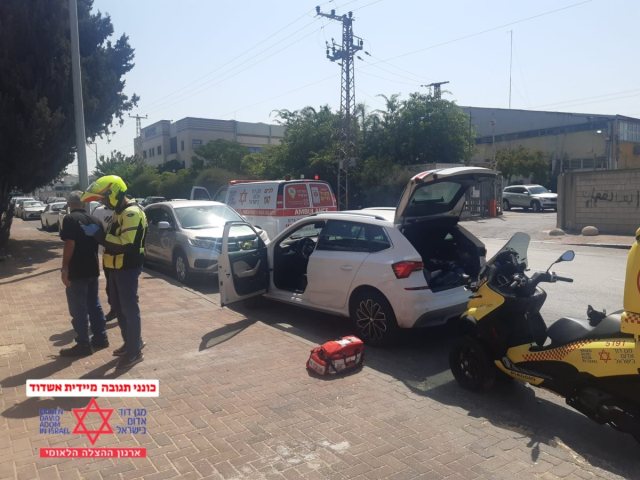 צילום: נהז לברון