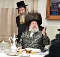 צילום: יוסי לוי