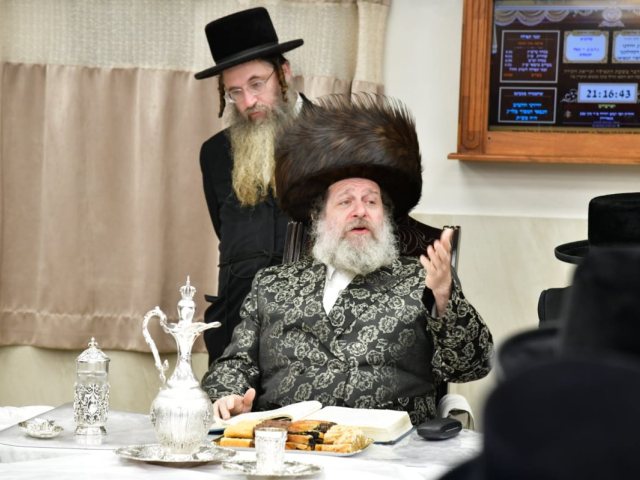צילום: יוסי לוי