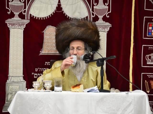 צילום: יוסי לוי