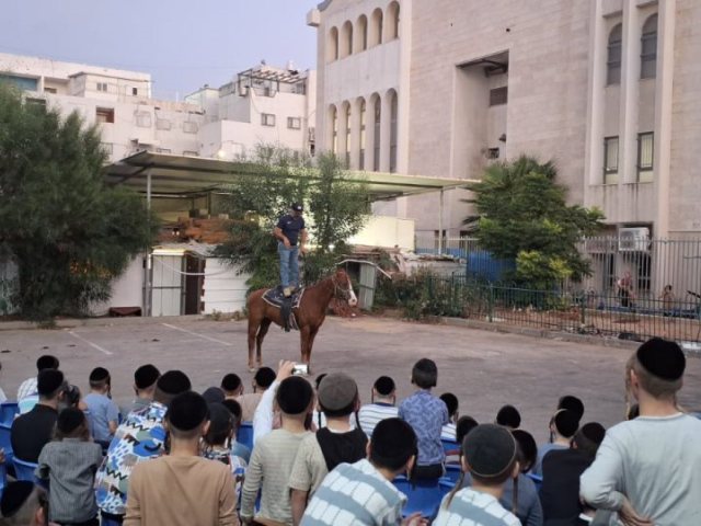 מופע סוסים. מעגלים