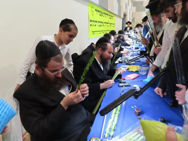 סוכות ההוראה. המועצה הדתית. א' מיכאלי