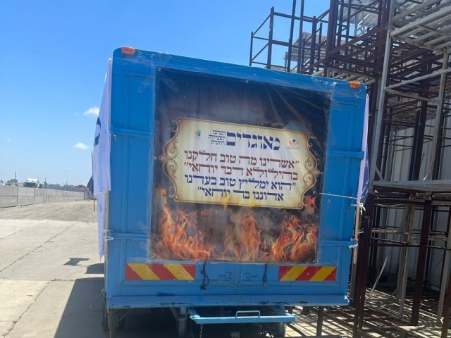 הגלידריה. מאוגדים
