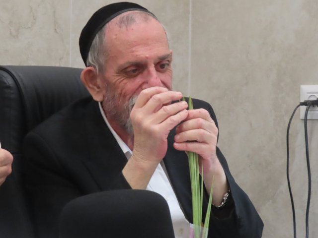הגריב שרייבר בבדיקת לולב. המצלם