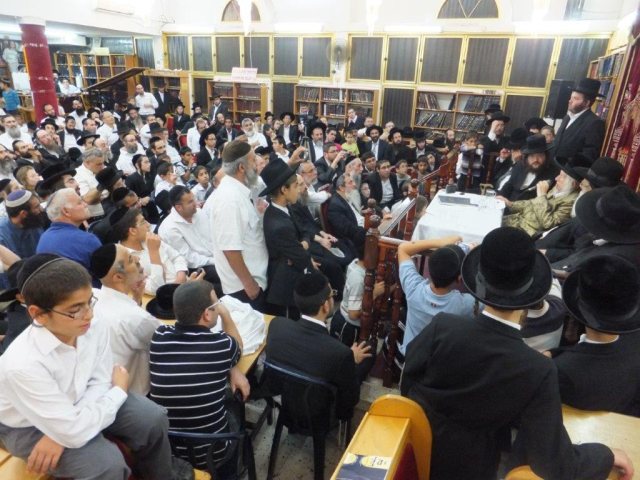 צילום: א' מיכאלי