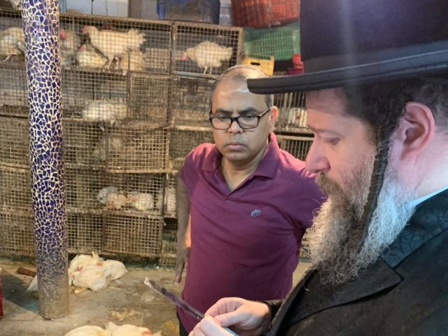 האדמו"ר בבדיקת סכינים בהודו. צילום: פרטי