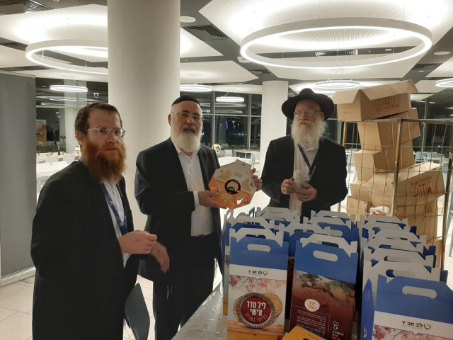 צילום: א' מיכאלי