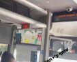 מתוך הסרטון