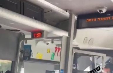 מתוך הסרטון