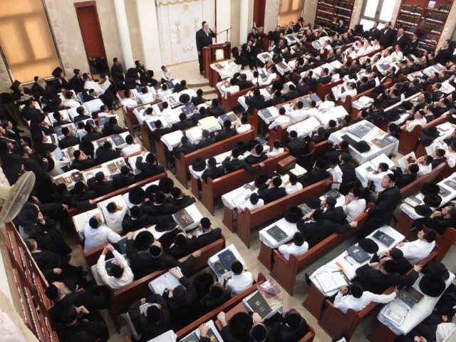 שיעורי תורה מעגלים. א' מיכאלי