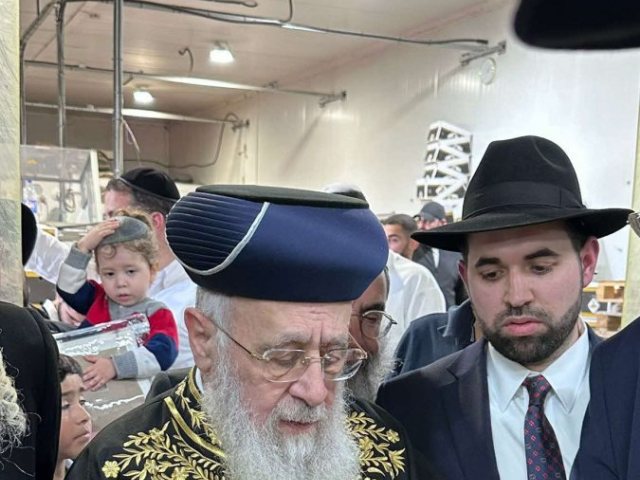 הראשל"צ בוחן את קלחי התירס. המצלם