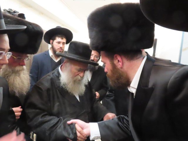 צילום: א. מיכאלי
