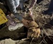 החילוץ המורכב של לוחמי האש מבור בעומק 20 מטרים (וידאו) 