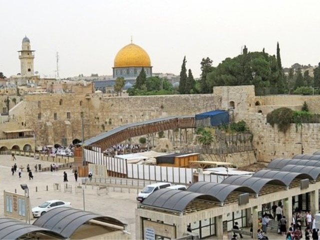 קרדיט-Image by Freeshot from Pixabay