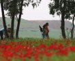 המדריך השלם של באר שבע נט ל"דרום אדום": טיולים, מסעדות, פעילויות והמלצות נוספות