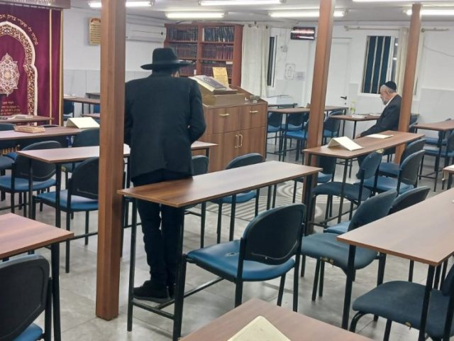 צילום: א. מיכאלי