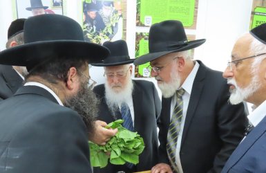 צילום: המועצה הדתית אשדוד