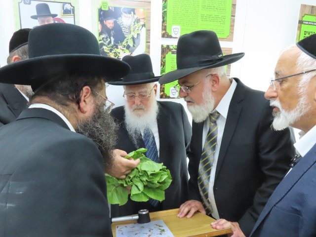 צילום: המועצה הדתית אשדוד