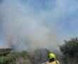 שריפת חורש משתוללת באזור התעשייה הצפוני באשדוד; כוחות כיבוי הוזנקו למקום