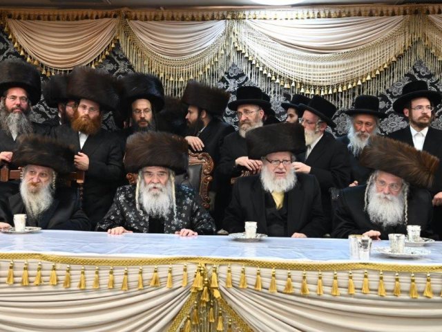 צילום: שוקי לרר