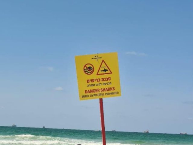 צילום: אגף החופים בעירית אשדוד
