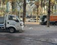 צילום: עירית אשדוד