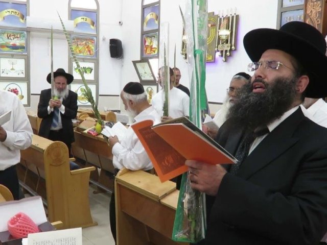 עם לולב ואתרוג בביהכנ הריבז. א' מיכאלי