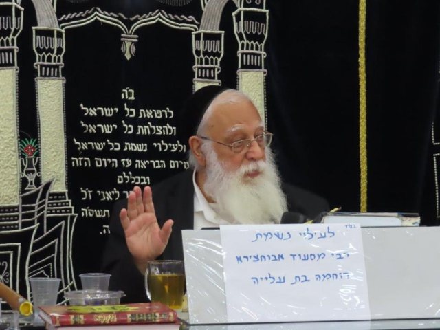 צילום: א. מיכאלי